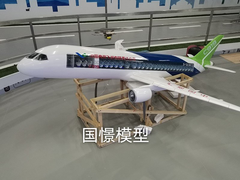 南陵县飞机模型